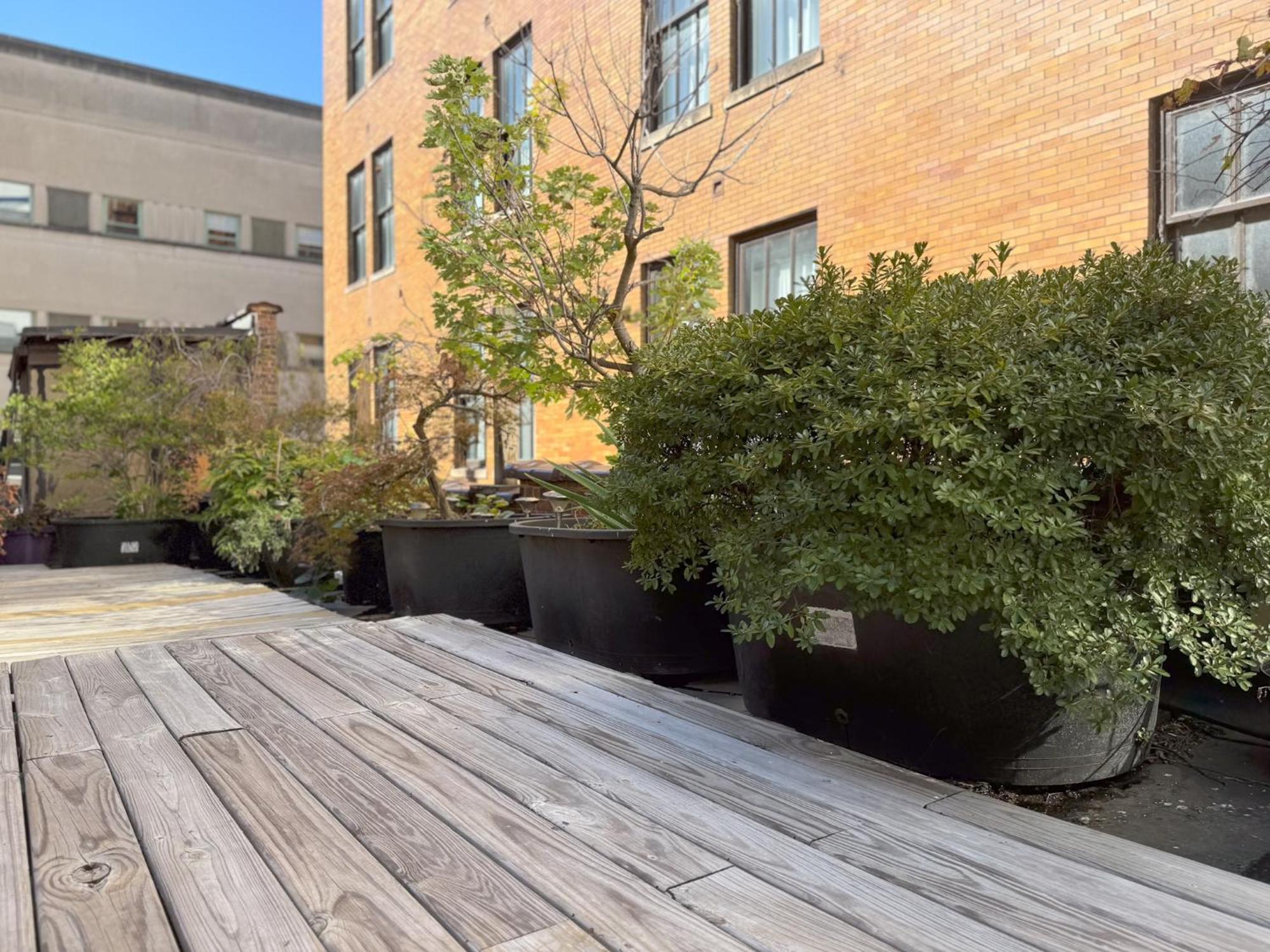 The Historic Lyric Penthouse With Private Rooftop Cincinnati