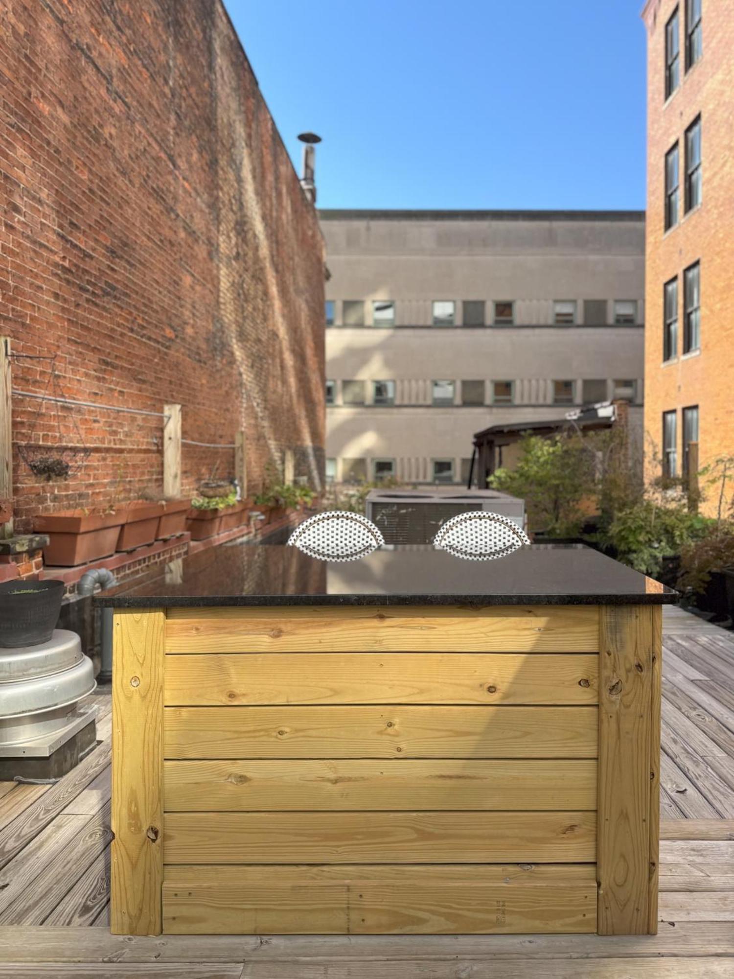The Historic Lyric Penthouse With Private Rooftop Apartment